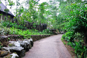 One of the pathways in the zoo