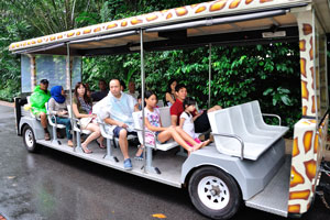 The open-sided tram car gives you an opportunity to make the 2.2km journey by the roads of the zoo