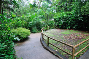 The path slopes down towards “Primate Kingdom”