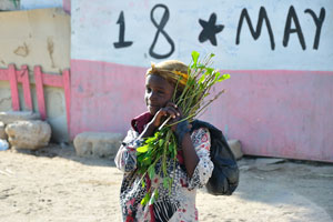 Little Somali girl with a bunch of khat twigs