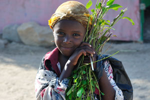 Lovely Somali girl holds gently a bunch of khat twigs in her hands