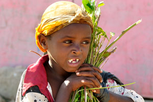 Little girl does not correspond to the bundle of khat stems