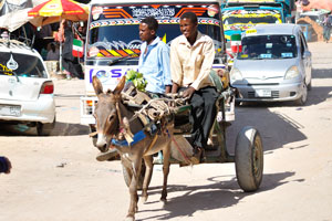 Two Somali men using a donkey cart on the Arwada road