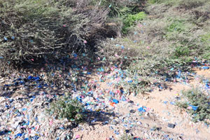 Garbage is abundantly present in the channel of the dry river