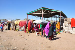 Hargeisa livestock market lies on the southeastern outskirts of town