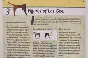 Figures of Laas Geel: human representations, Somaliland style bovine and Ethiopian style bovine
