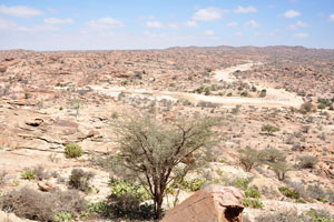 One of the things that inspired me to go to Somaliland was the recently discovered painted caves of Laas Geel