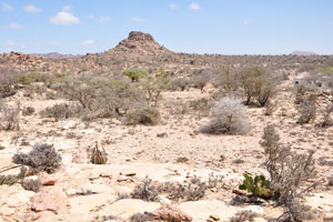 The stark beauty of the desert landscape