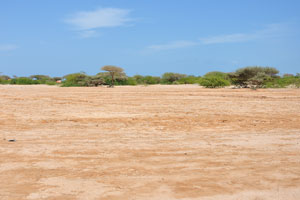 We drove away from the Loyada town and directed to Hargeisa