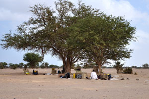 A group of local people is waiting something under the tree
