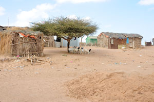 One of the villages on our way to Hargeisa where we stopped