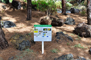 The information board tells the story about the Lotus (genus) of Fabaceae family