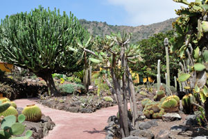 The “Cactus and Succulent Garden” division