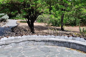 A round stone bench is located near the Cactus and Succulent Garden
