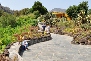 A stone footpath goes along the “Cactus and Succulent Garden” division