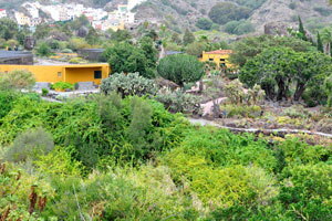 The “Garden of Cacti and Succulents” division as seen from the slope