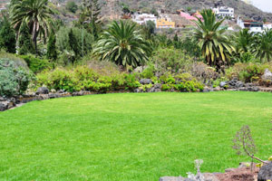 A green lawn is in the “Islands Garden” division