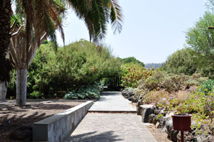A stone footpath leads to “Matías Vega” Plaza