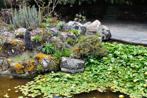 The pond located in front of the Exhibition Center is decorated with exotic plants