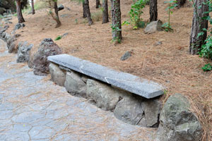 A comfortable stone bench is in the Pine Forest