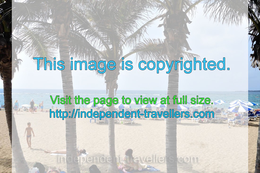 The beach of Gran Playa Canteras as seen through the palm trees
