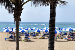 The beach of Gran Playa Canteras as seen through the palm trees