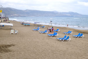 Blue lounge chairs are on the beach of Las Canteras