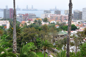 Doramas Park district as seen from the bird's-eye view