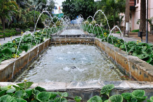 The long fountain is surrounded by lush greenery in Doramas Park