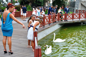 A wedding group came to the lake of Doramas Park