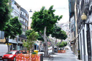 Calle San Bernardo street