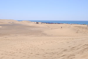 It is a great walk along the beach, with the lovely sand dunes behind you