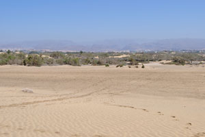 The sand dunes of Maspalomas are famous due to the miles of lovely golden sand