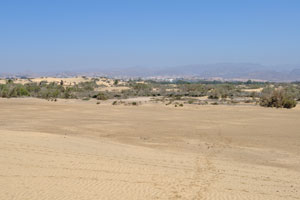 An extensive area of beautiful golden sand dunes that provide for great walking