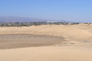 The dunes are well known and it is worth the walk to explore them