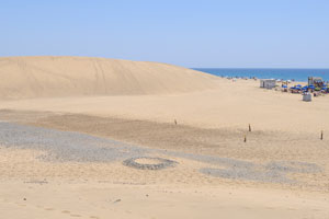 Beautiful and clean beach, friendly people and amazing dunes!