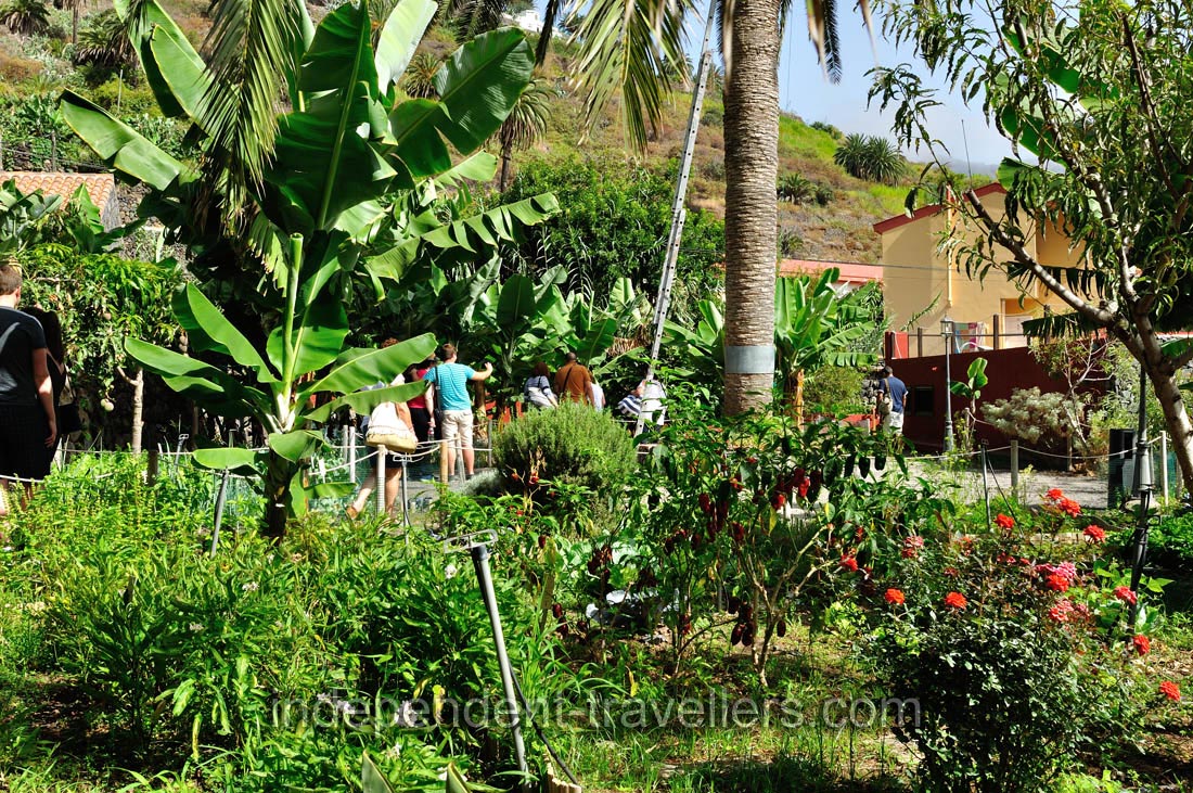 &ldquo;Molino de Gofio Los Telares&rdquo; garden is a kingdom of lush greenery