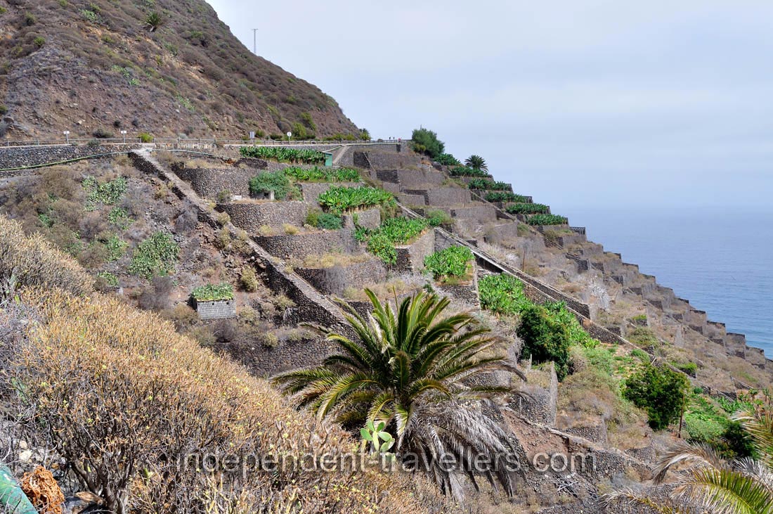 The mountain slopes in Hermigua town are intensively used for agriculture