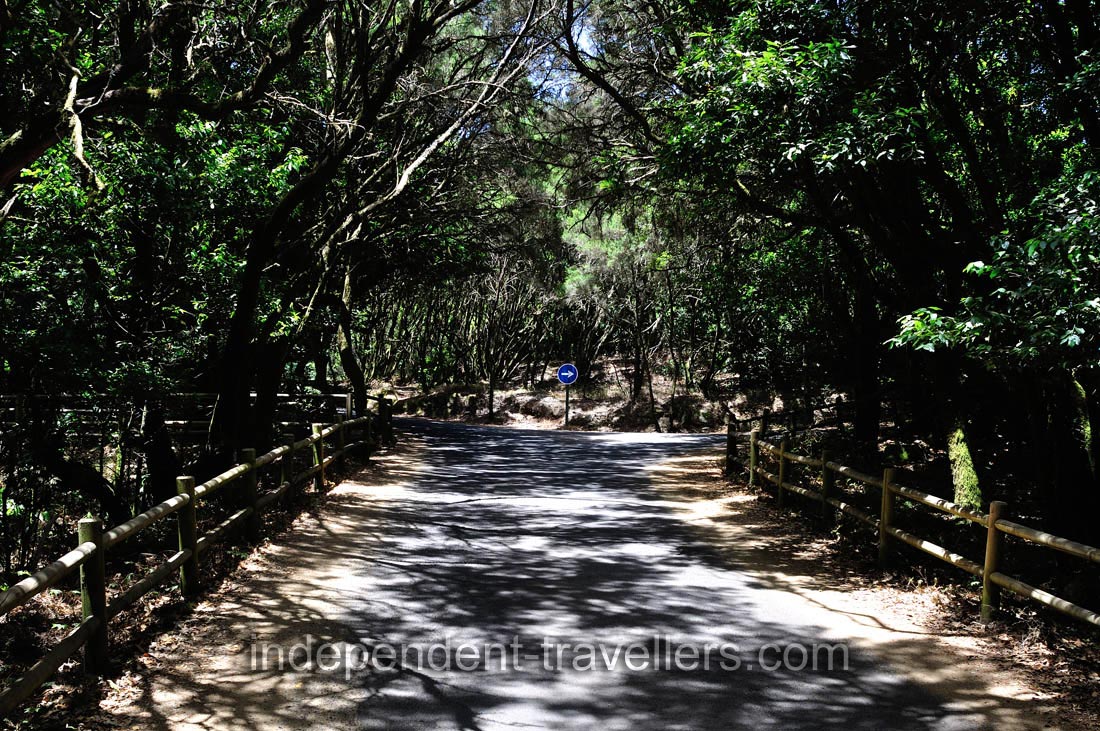 This asphalt road leads to Laguna Grande park