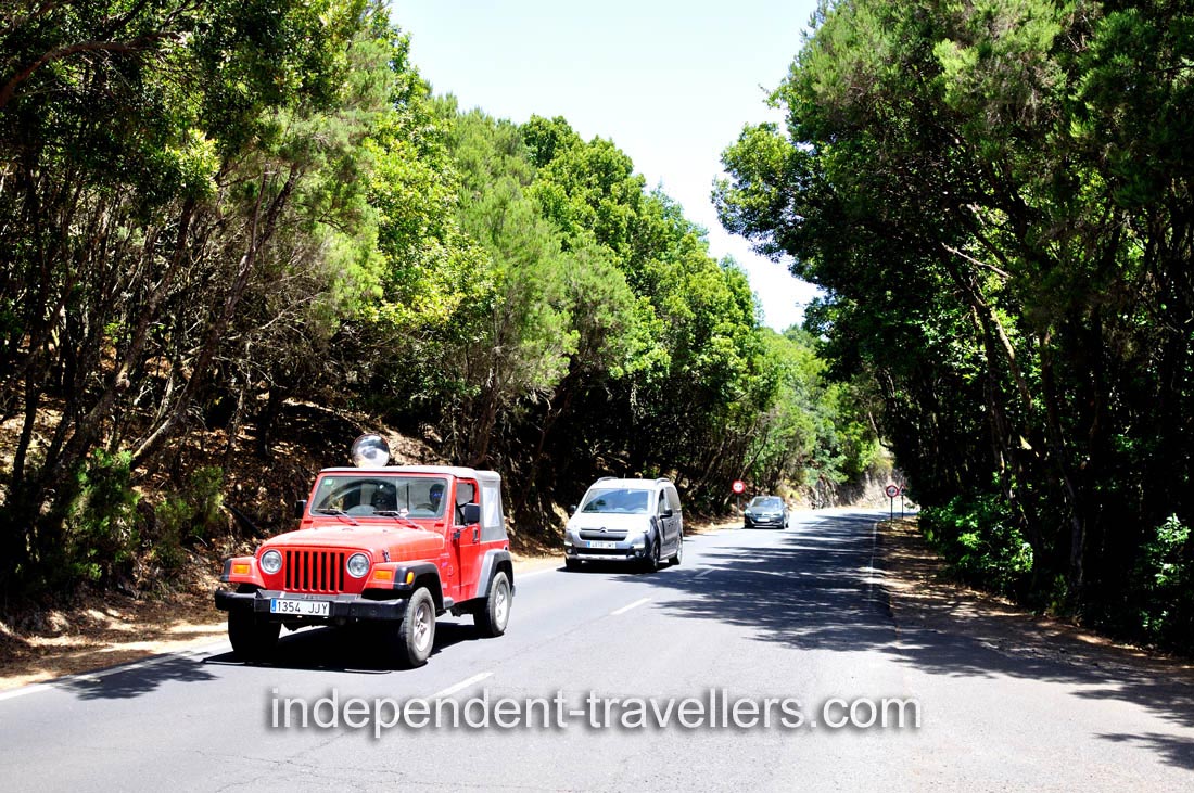 Automobiles travel along GM-2 road near &ldquo;Laguna Grande&rdquo; park