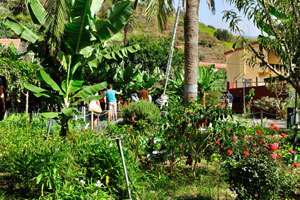 “Molino de Gofio Los Telares” garden is a kingdom of lush greenery