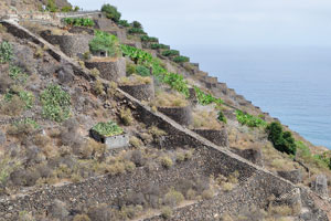 Mountain slopes of Hermigua town are fully covered by cultivated plants