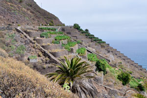 The mountain slopes in Hermigua town are intensively used for agriculture