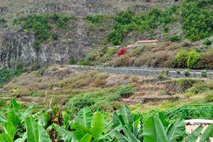 GM-1 is a winding road that goes through Agulo
