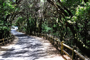 This footpath leads to the “Zona recreativa Laguna Grande” tourist attraction