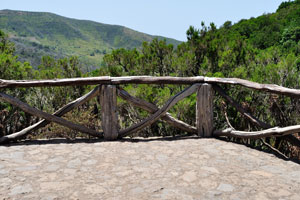 This observation platform is located near “Zona recreativa Laguna Grande” in Garajonay National Park