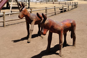There are wooden statues of donkeys in Laguna Grande park