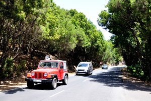 Automobiles travel along GM-2 road near “Laguna Grande” park
