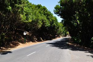 GM-2 road goes along “Laguna Grande” park