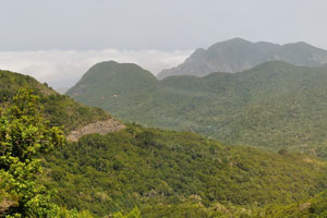 Garajonay National Park extends into each of the six municipalities on the island
